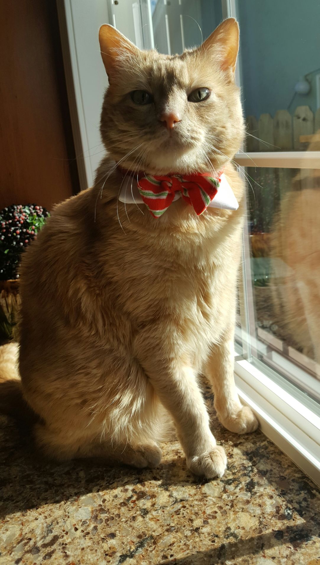 Silas